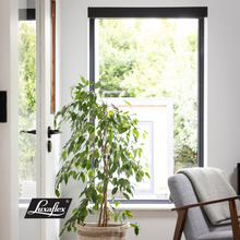 Load image into Gallery viewer, Roller & Motorised Blind Collection